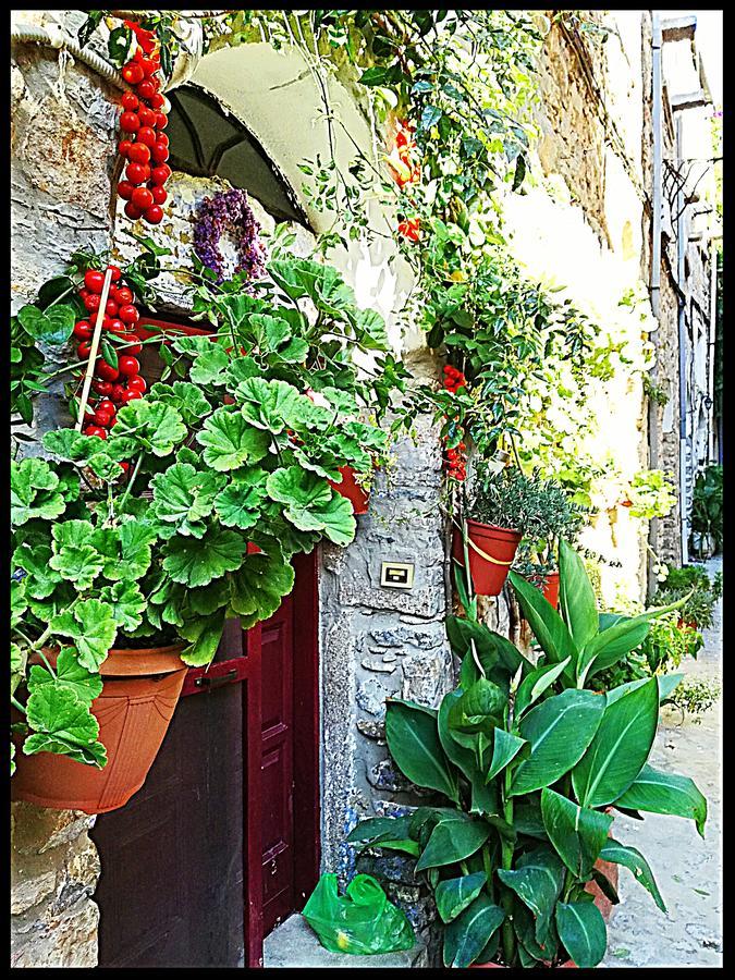 Mesta Mastic Exterior foto